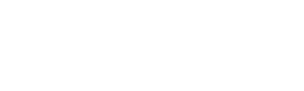 South Shore Village